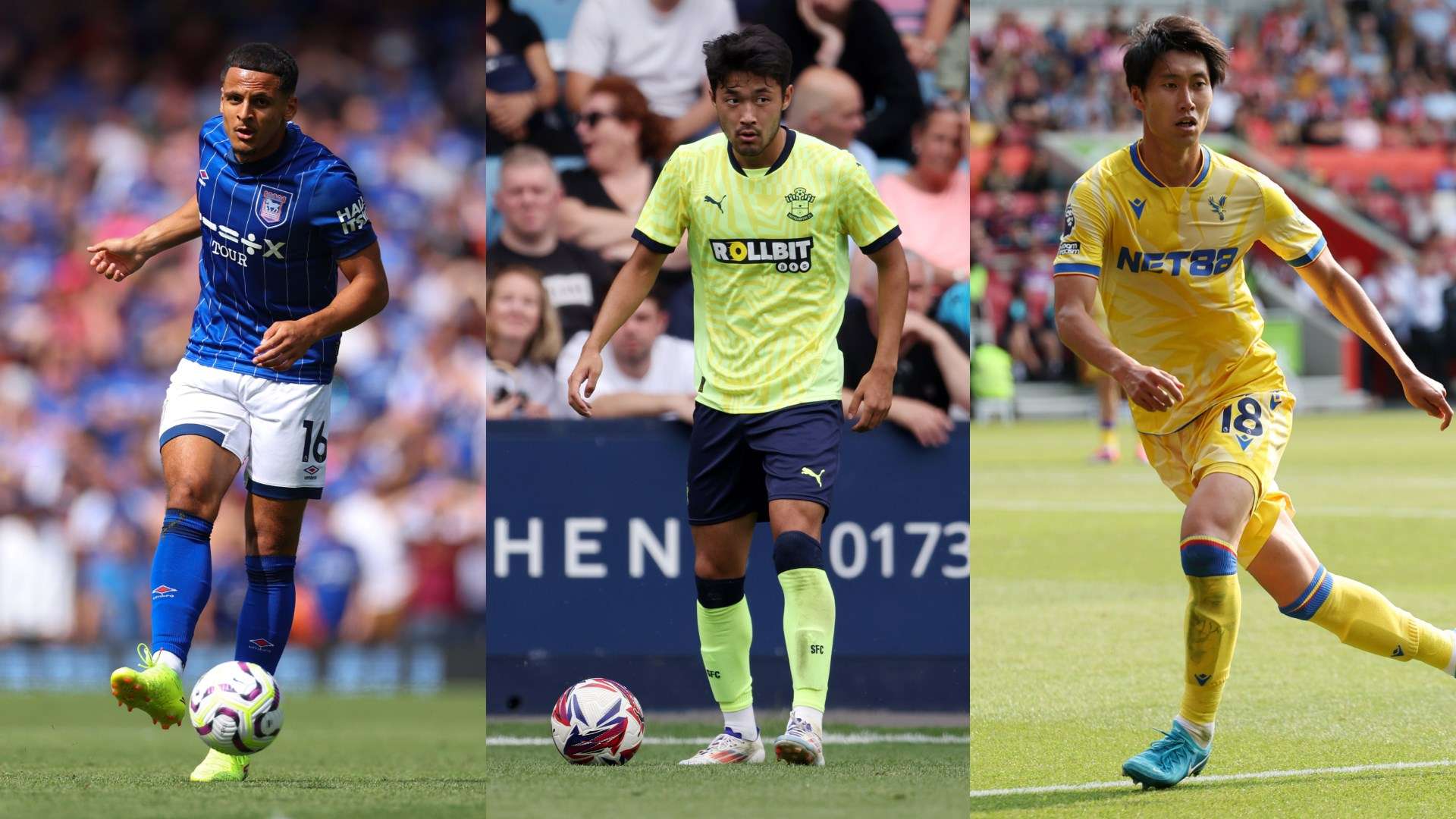 球迷们给予 球迷们给予